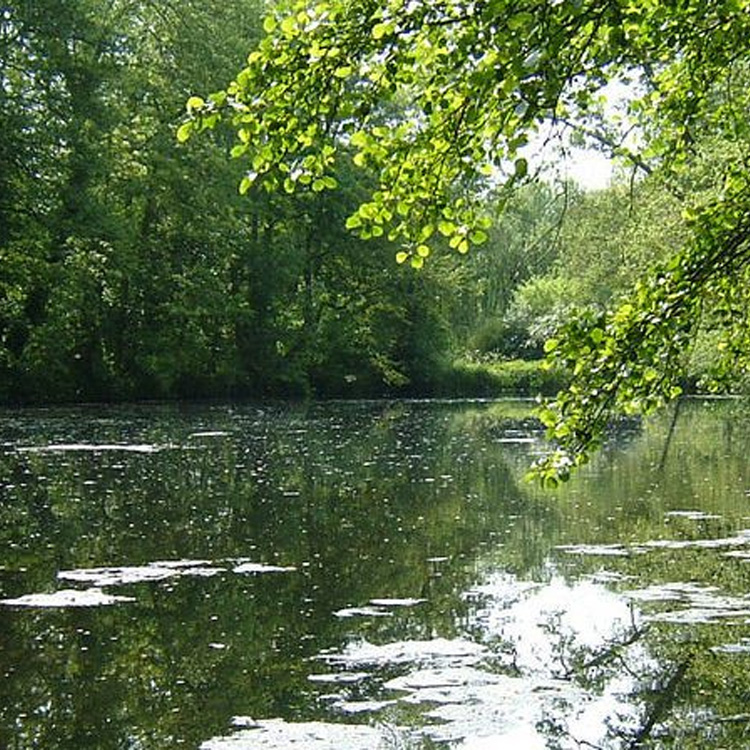 Brockhill Country Park