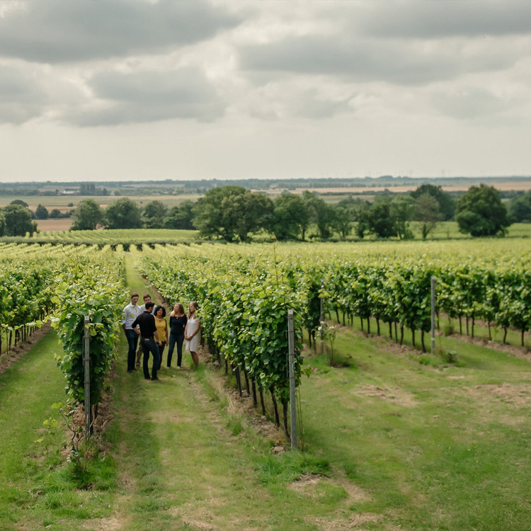 Gusborne Fine English Wines