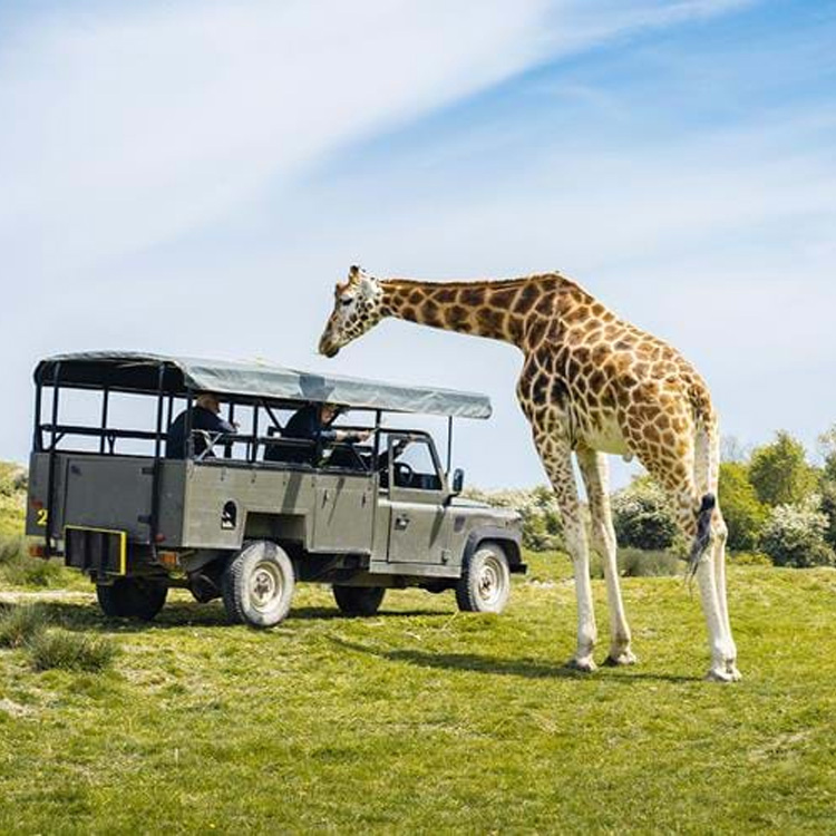 Port Lympne Safari Park