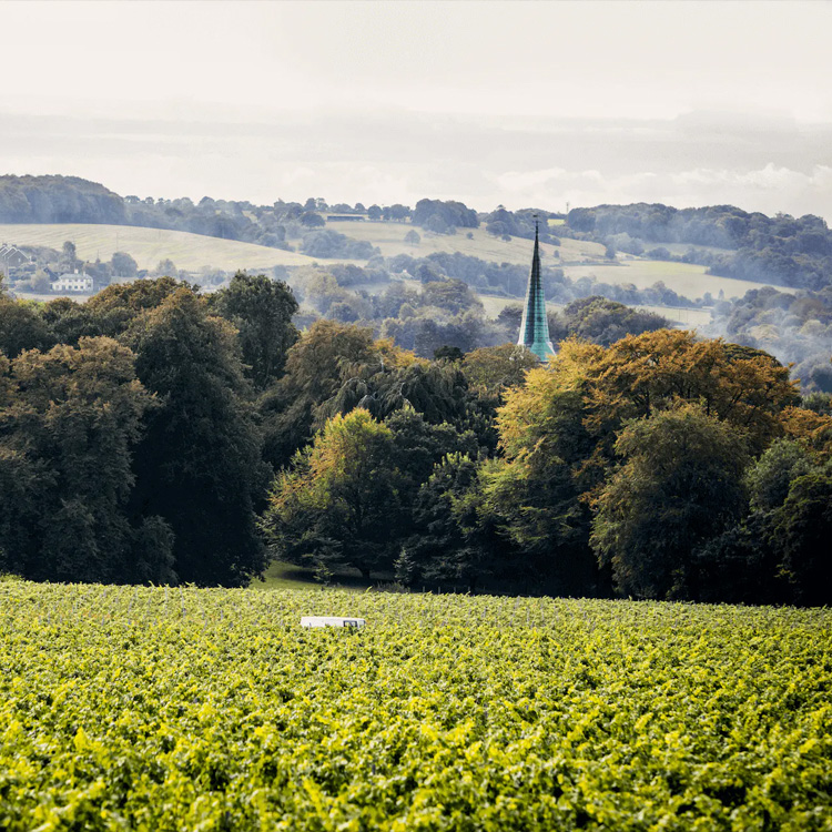 Simpsons Wine Estate